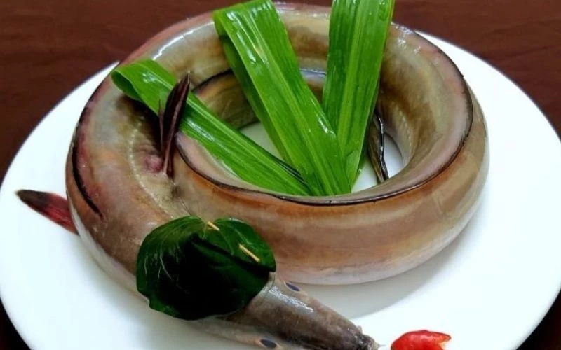 Thưởng thức gỏi cá dưa ngon nổi tiếng Thanh Hoá